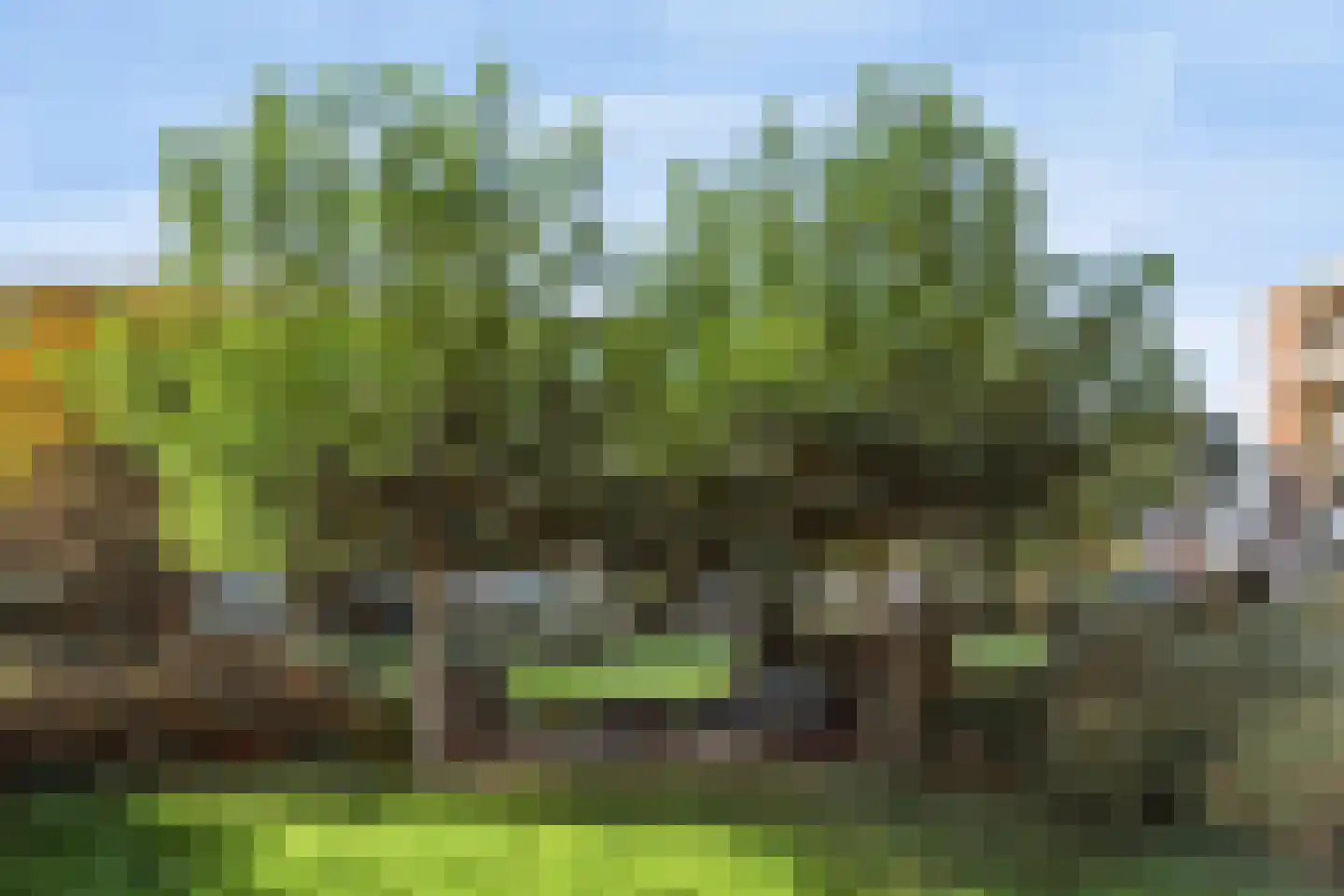 Veen en Duin 29 Bloemendaal thumbnail 36