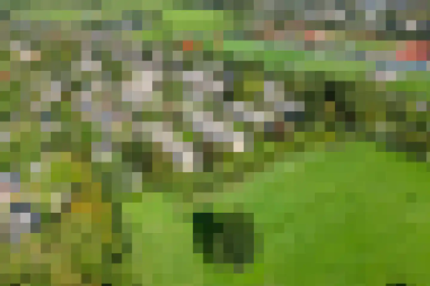 Veen en Duin 29 Bloemendaal thumbnail 38