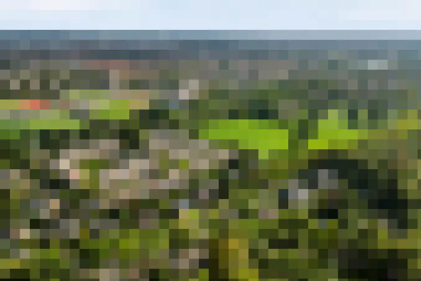 Veen en Duin 29 Bloemendaal thumbnail 39