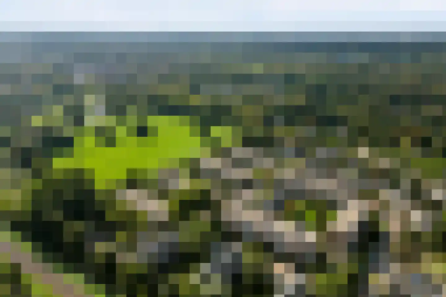 Veen en Duin 29 Bloemendaal thumbnail 40
