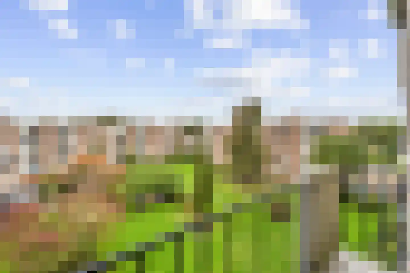 Veen en Duin 43 Bloemendaal thumbnail 19