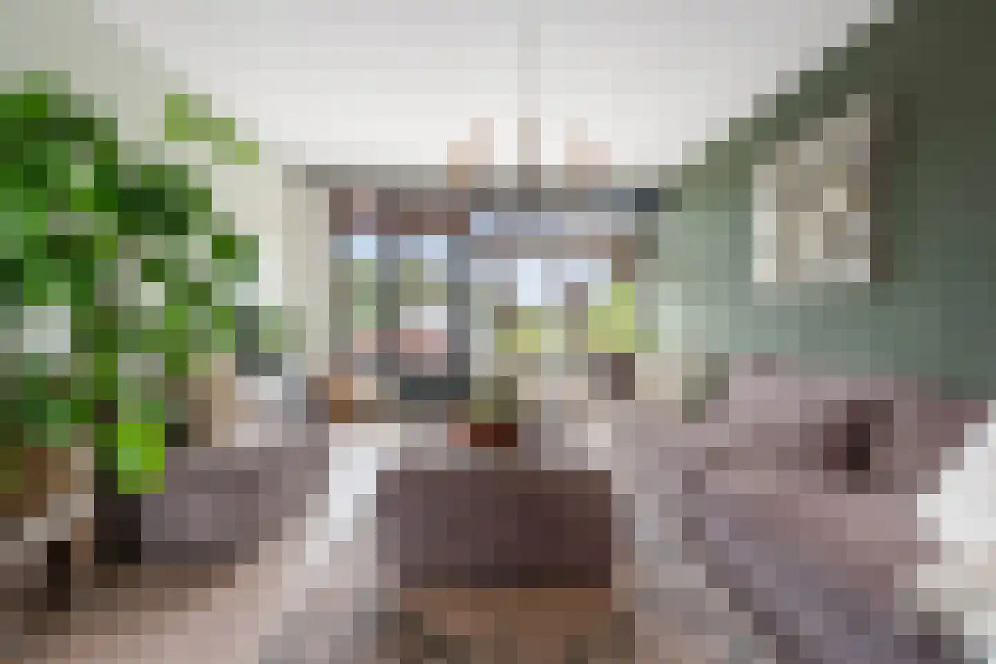 Veen en Duin 43 Bloemendaal thumbnail 4