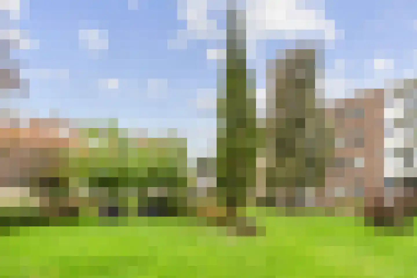 Veen en Duin 43 Bloemendaal thumbnail 43