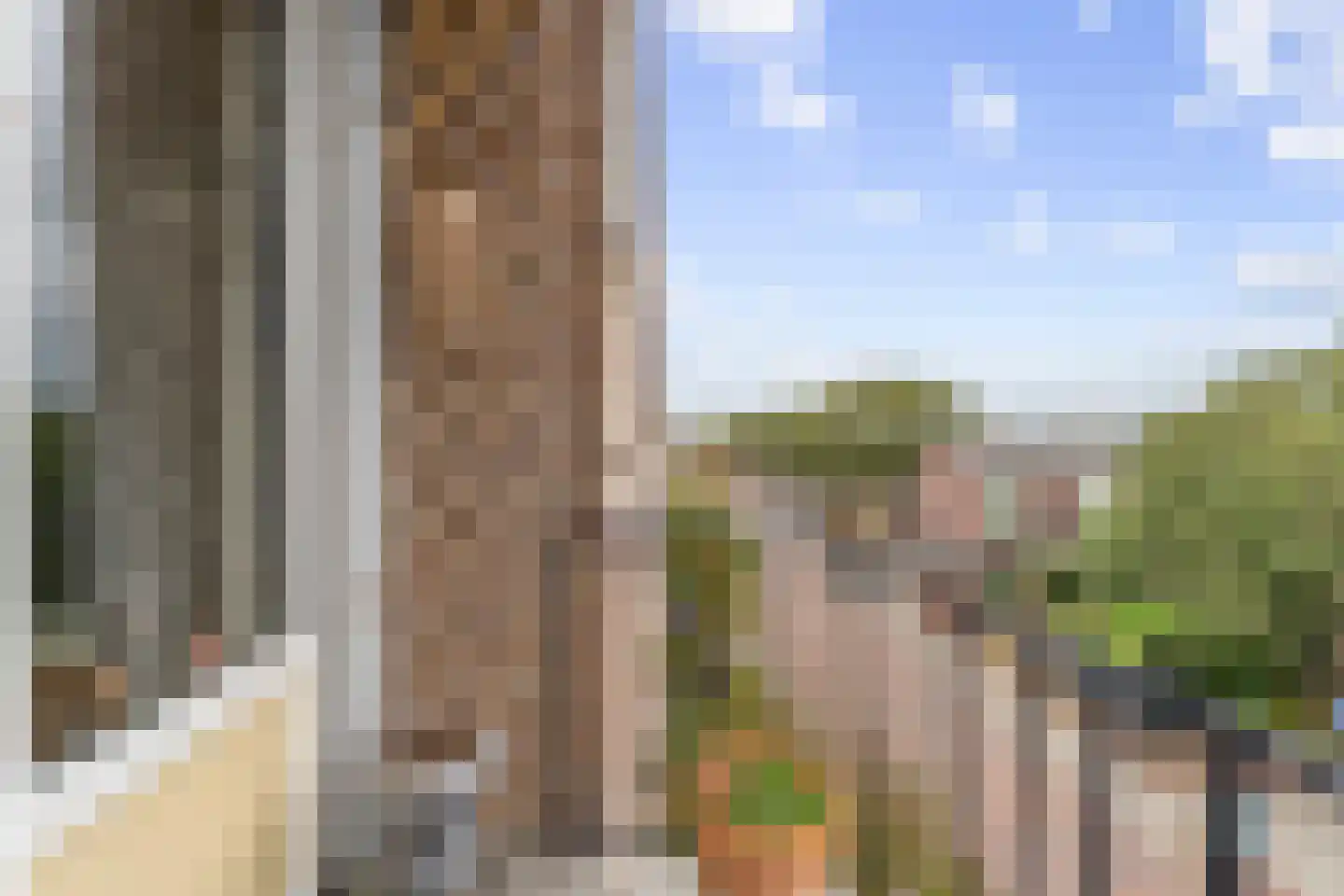 Veen en Duin 43 Bloemendaal thumbnail 9