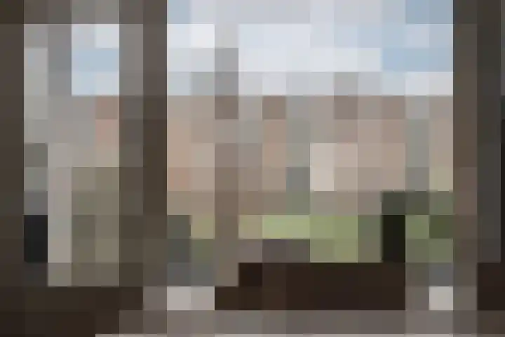 Veen en Duin 47 Bloemendaal thumbnail 12