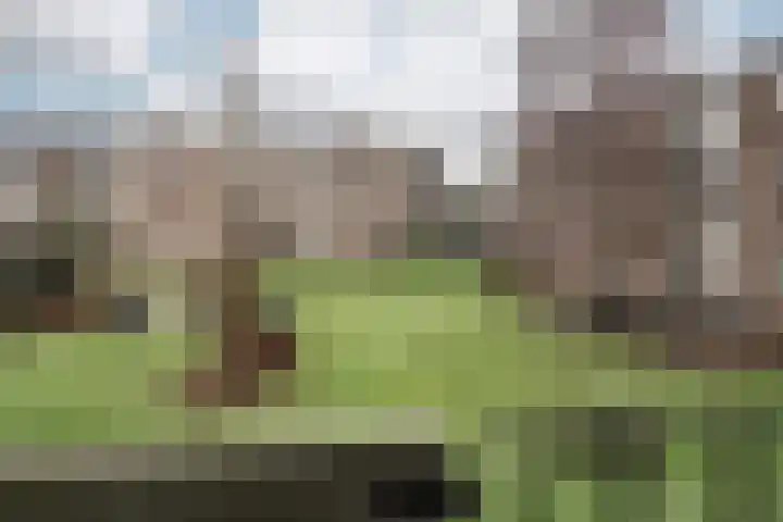 Veen en Duin 47 Bloemendaal thumbnail 15
