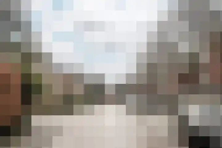 Veen en Duin 47 Bloemendaal thumbnail 24
