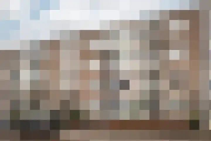 Veen en Duin 47 Bloemendaal thumbnail 25