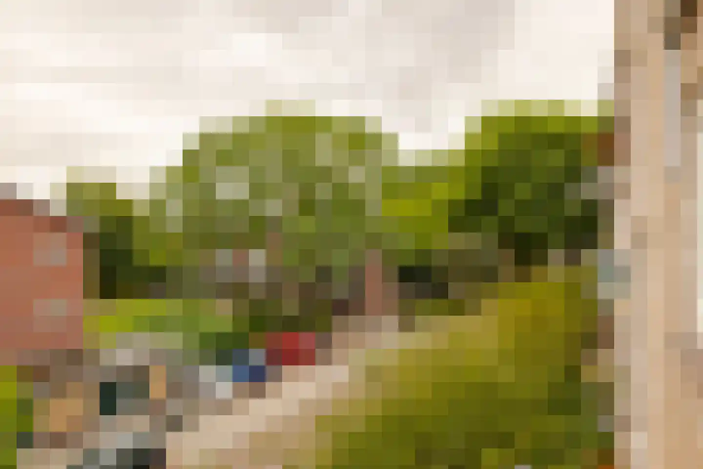 Veen en Duin 49 Bloemendaal thumbnail 11