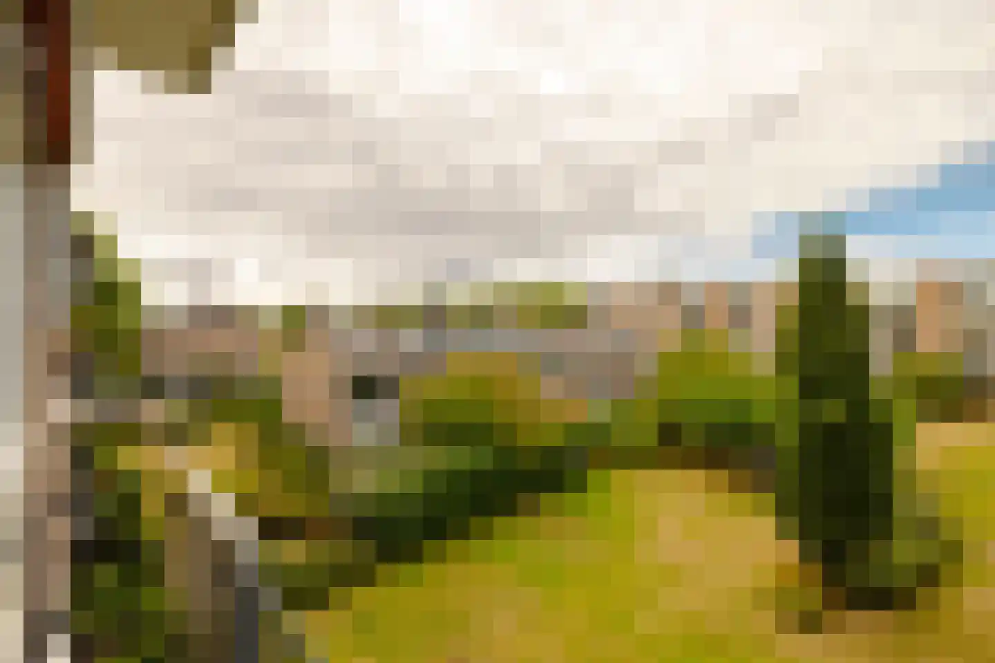 Veen en Duin 49 Bloemendaal thumbnail 14