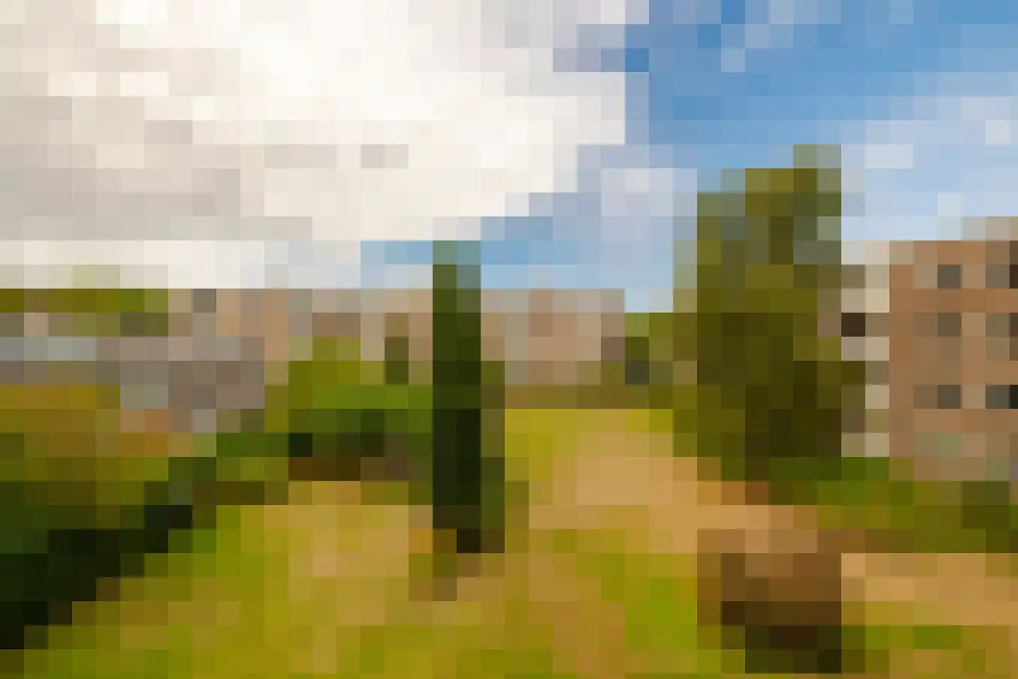 Veen en Duin 49 Bloemendaal thumbnail 15