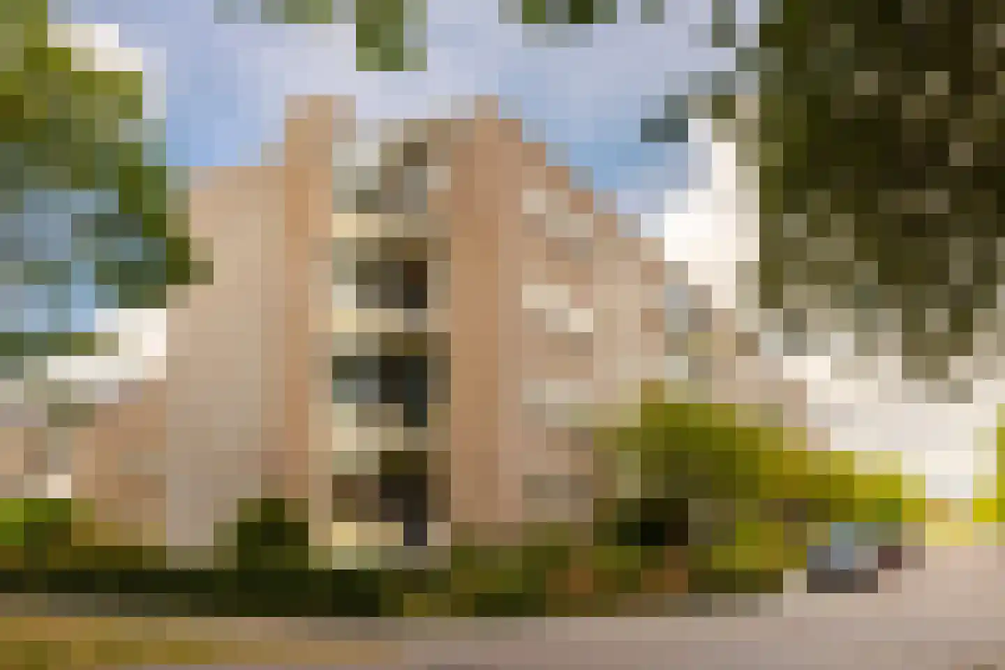 Veen en Duin 49 Bloemendaal thumbnail 32
