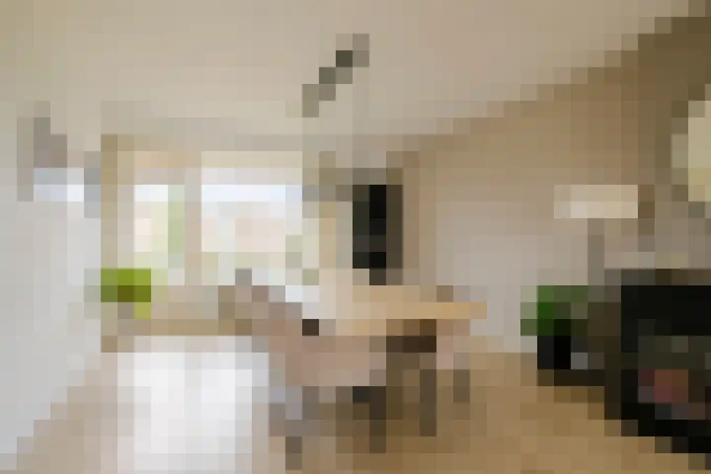 Veen en Duin 49 Bloemendaal thumbnail 7