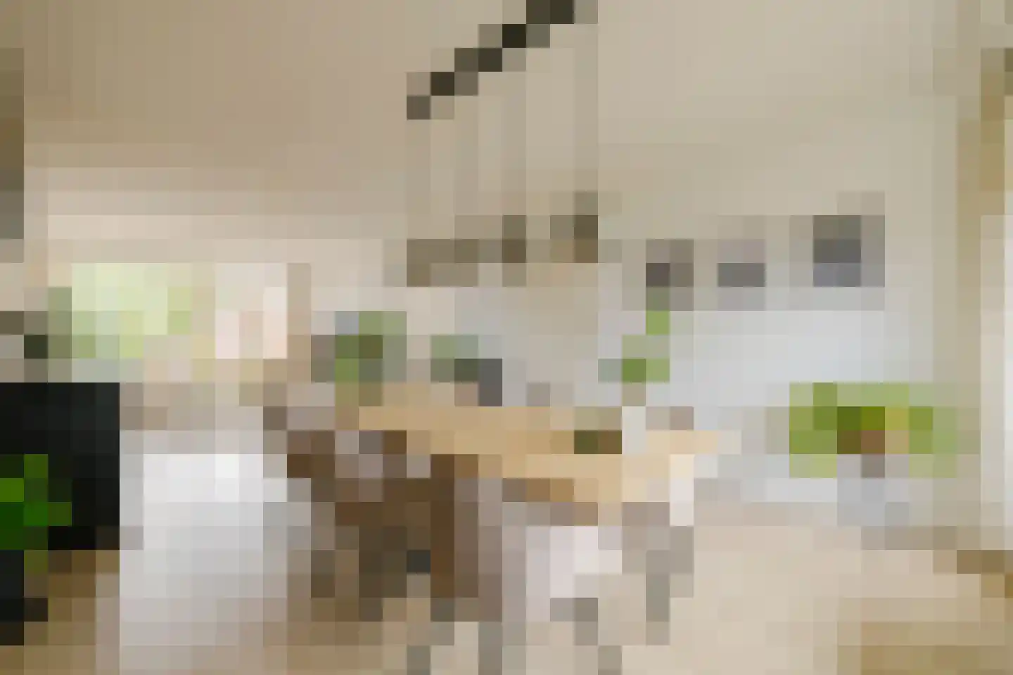 Veen en Duin 49 Bloemendaal thumbnail 8