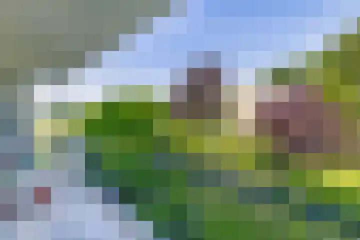 Veen en Duin 56 Bloemendaal thumbnail 20