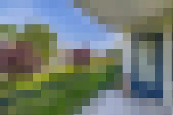 Veen en Duin 56 Bloemendaal thumbnail 21