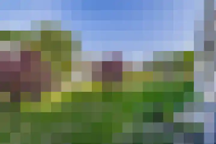 Veen en Duin 56 Bloemendaal thumbnail 22