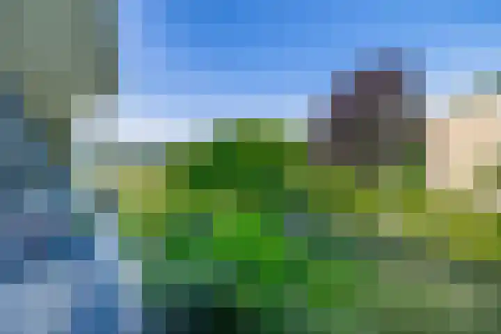Veen en Duin 56 Bloemendaal thumbnail 23