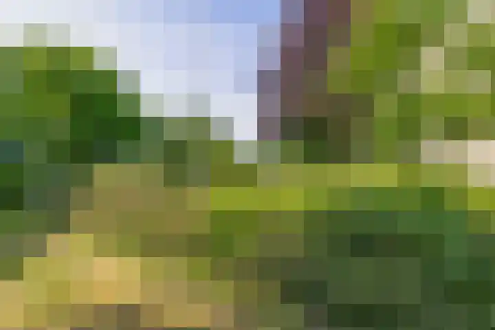 Veen en Duin 56 Bloemendaal thumbnail 30