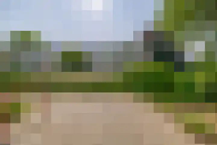Veen en Duin 56 Bloemendaal thumbnail 31