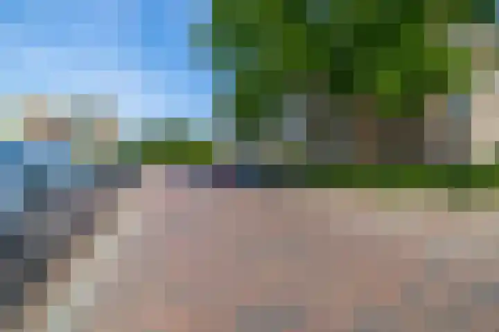 Veen en Duin 56 Bloemendaal thumbnail 32