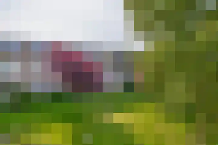 Veen en Duin 56 Bloemendaal thumbnail 33