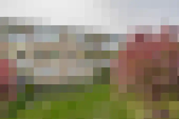 Veen en Duin 56 Bloemendaal thumbnail 34