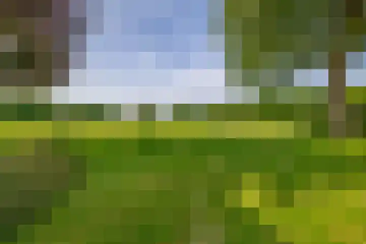 Veen en Duin 56 Bloemendaal thumbnail 35