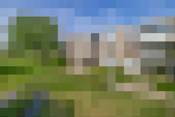 Veen en Duin 56 Bloemendaal thumbnail 44