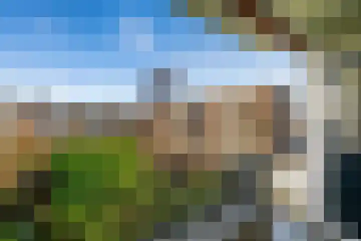 Veen en Duin 57 Bloemendaal thumbnail 17