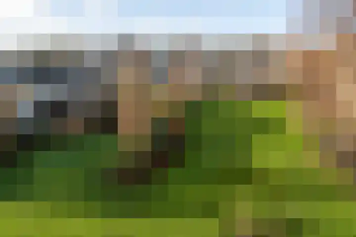 Veen en Duin 57 Bloemendaal thumbnail 19