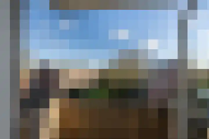 Veen en Duin 57 Bloemendaal thumbnail 20