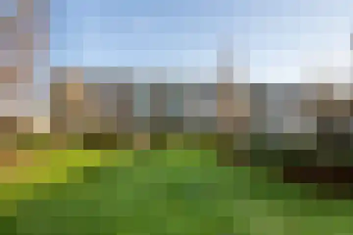 Veen en Duin 57 Bloemendaal thumbnail 24
