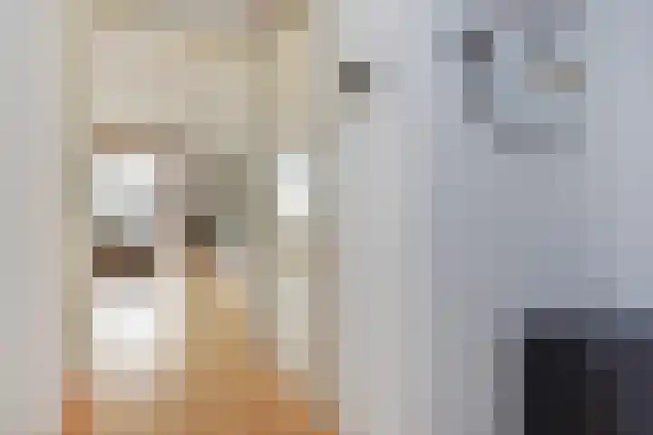 Veenakker 24 Nootdorp thumbnail 17