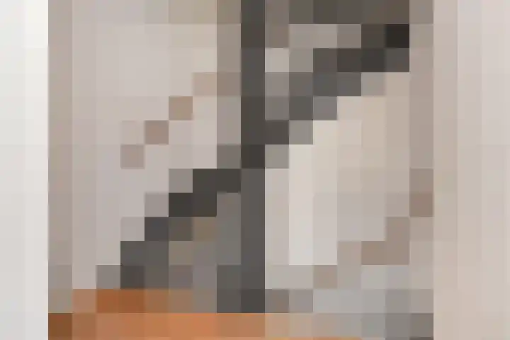 Veenakker 24 Nootdorp thumbnail 19
