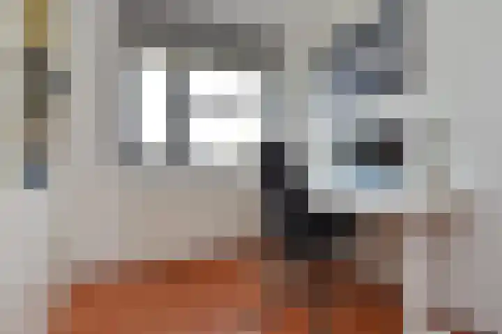 Veenakker 24 Nootdorp thumbnail 32