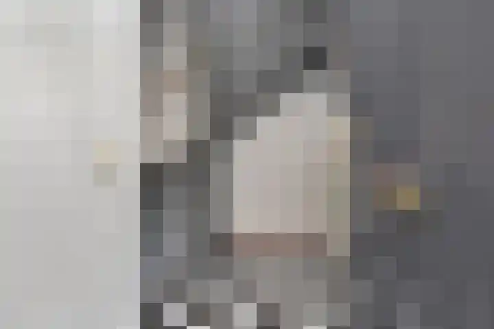 Veenakker 24 Nootdorp thumbnail 34