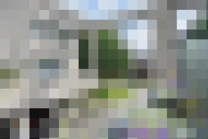 Veenakker 24 Nootdorp thumbnail 38
