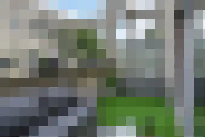 Veenakker 24 Nootdorp thumbnail 6