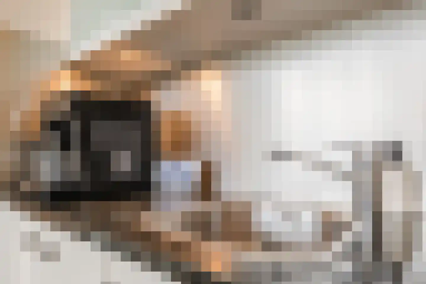 Veenakker 34 Beilen thumbnail 17