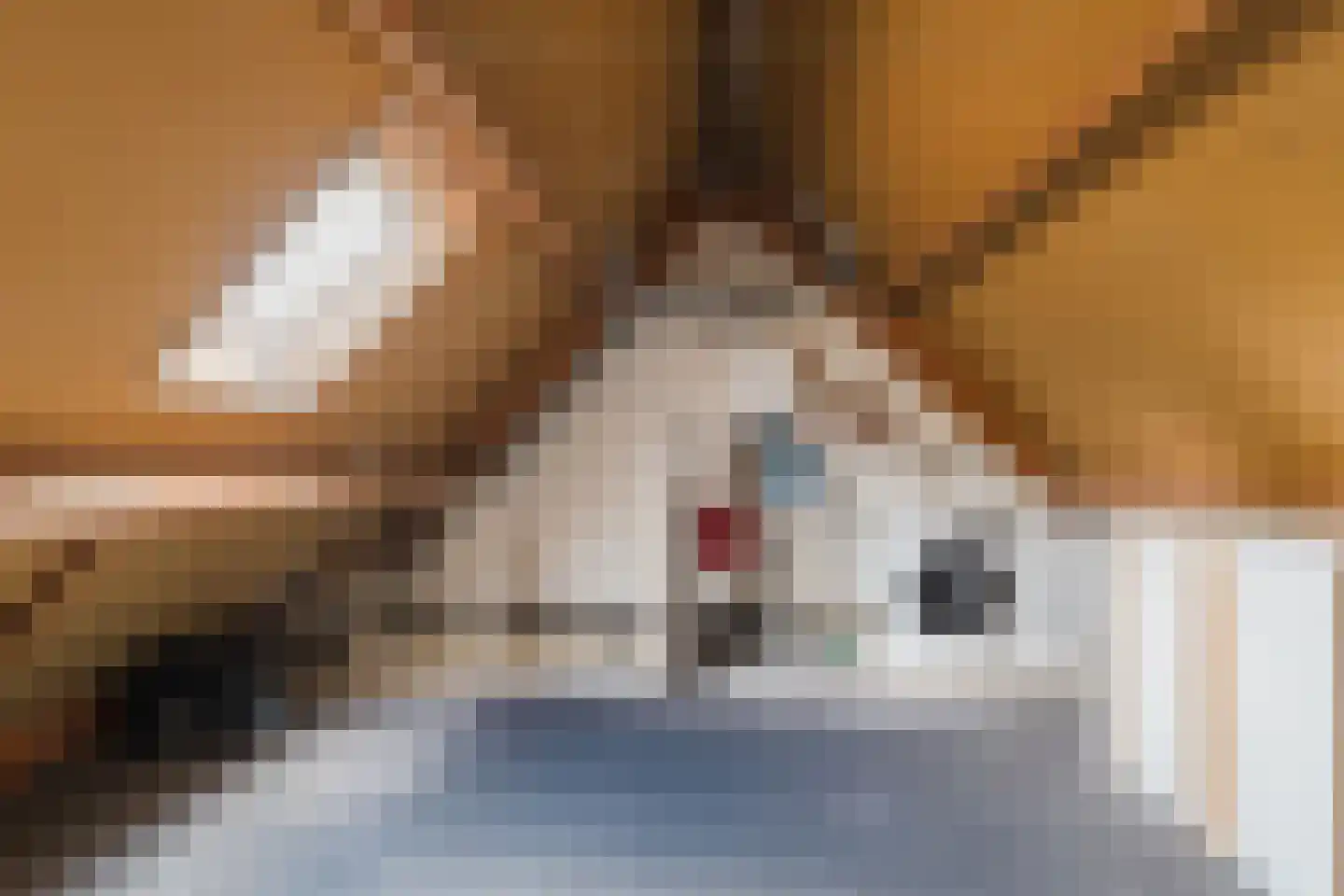 Veenakker 34 Beilen thumbnail 37