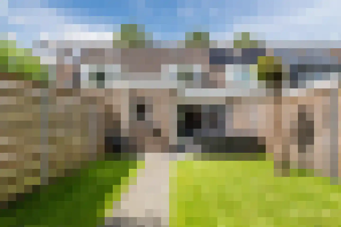 Veenakker 34 Beilen thumbnail 44