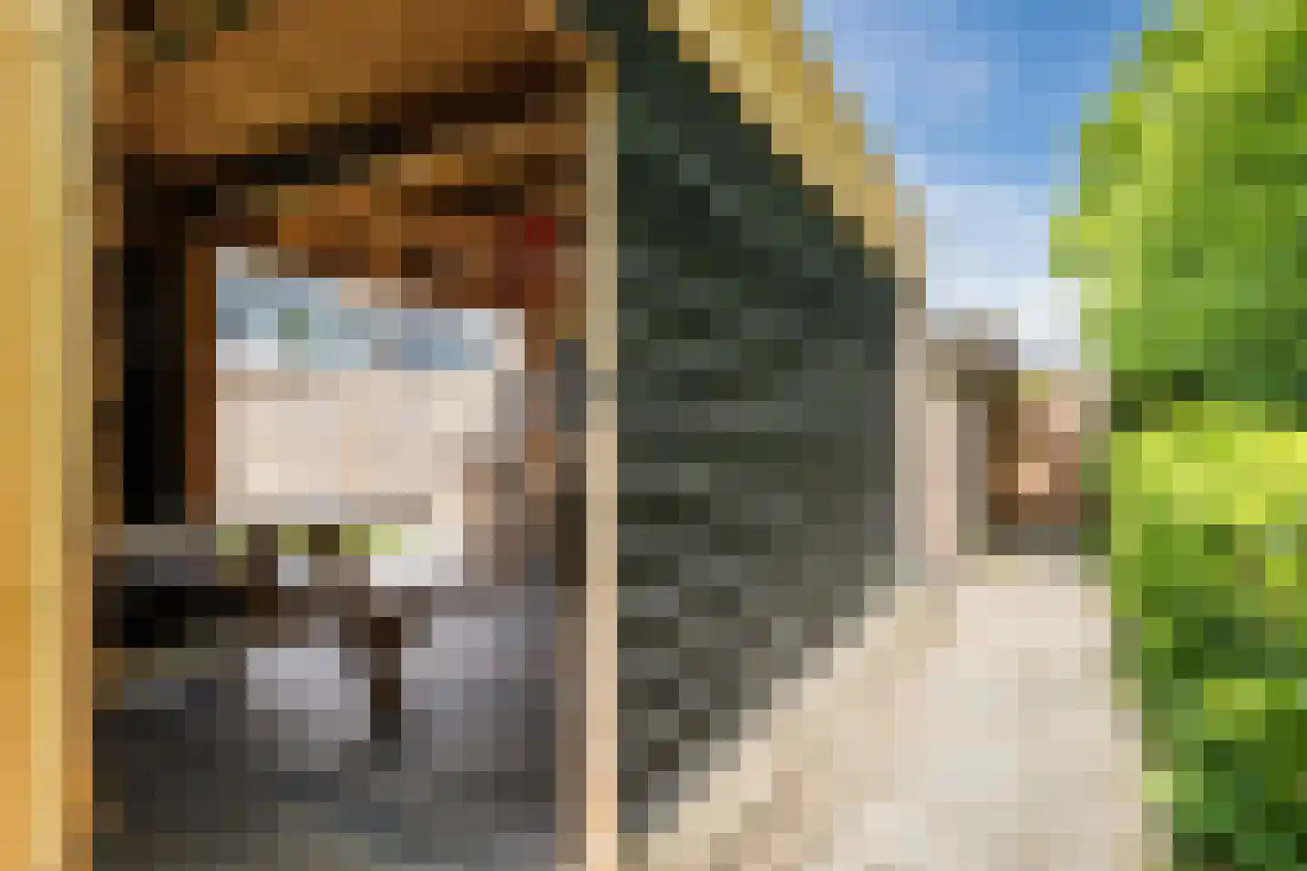 Veenakker 34 Beilen thumbnail 45