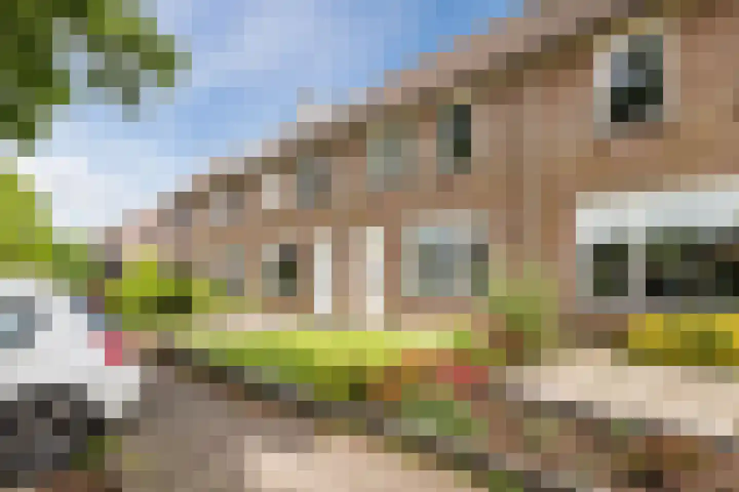 Veenakker 34 Beilen thumbnail 50