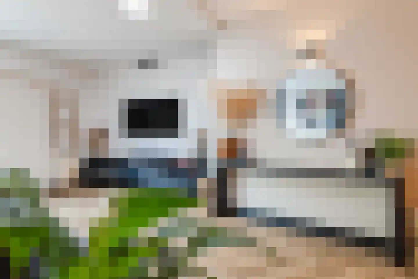 Veenakker 34 Beilen thumbnail 9