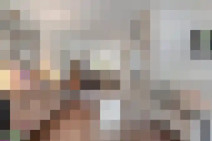 Veenakker 42 Beilen thumbnail 10