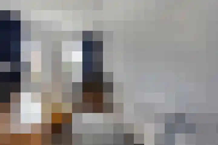 Veenakker 42 Beilen thumbnail 20