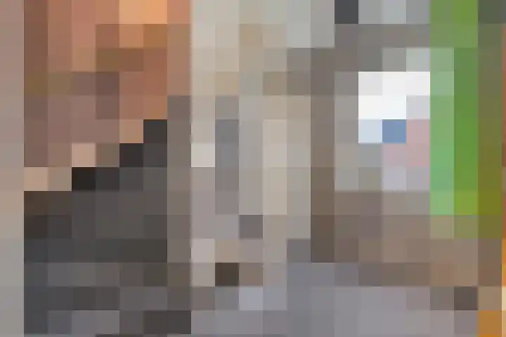 Veenakker 42 Beilen thumbnail 26