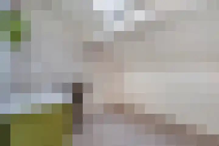 Veenakker 42 Beilen thumbnail 29