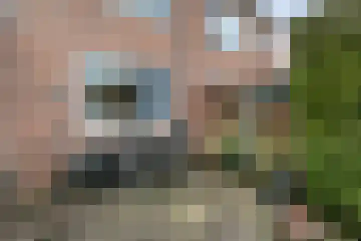 Veenakker 42 Beilen thumbnail 34